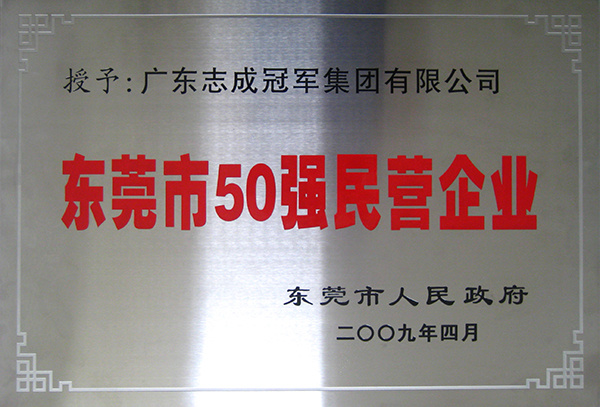 东莞市50强民营企业